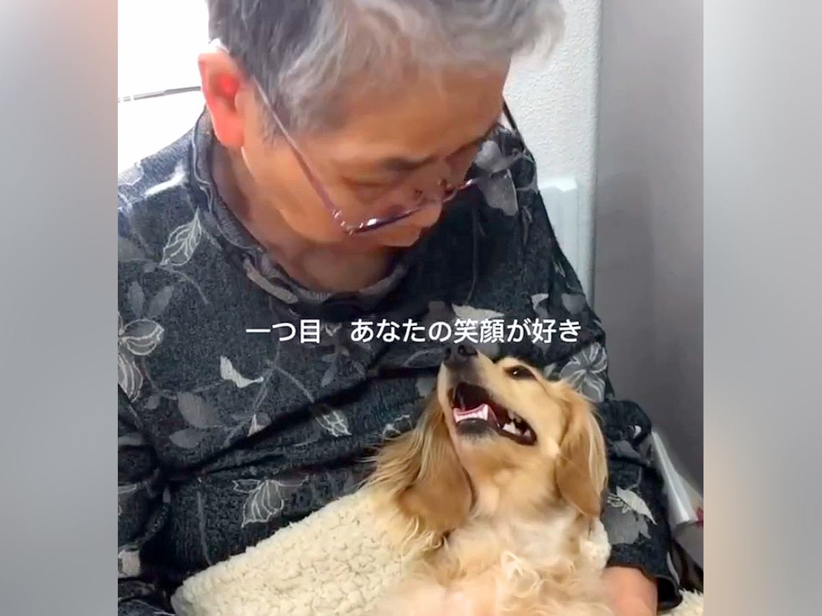 おばあちゃんと犬のふれあいを記録→想像以上に愛にあふれていて…思わず涙する『あまりにも尊い光景』に反響「すごく素敵な関係」「癒された」