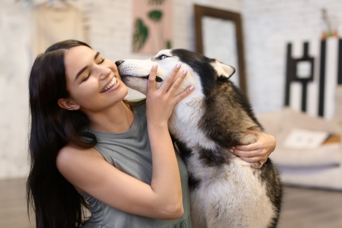 犬が『頭をこすりつけてくる時』の心理とは？5つの理由を解説