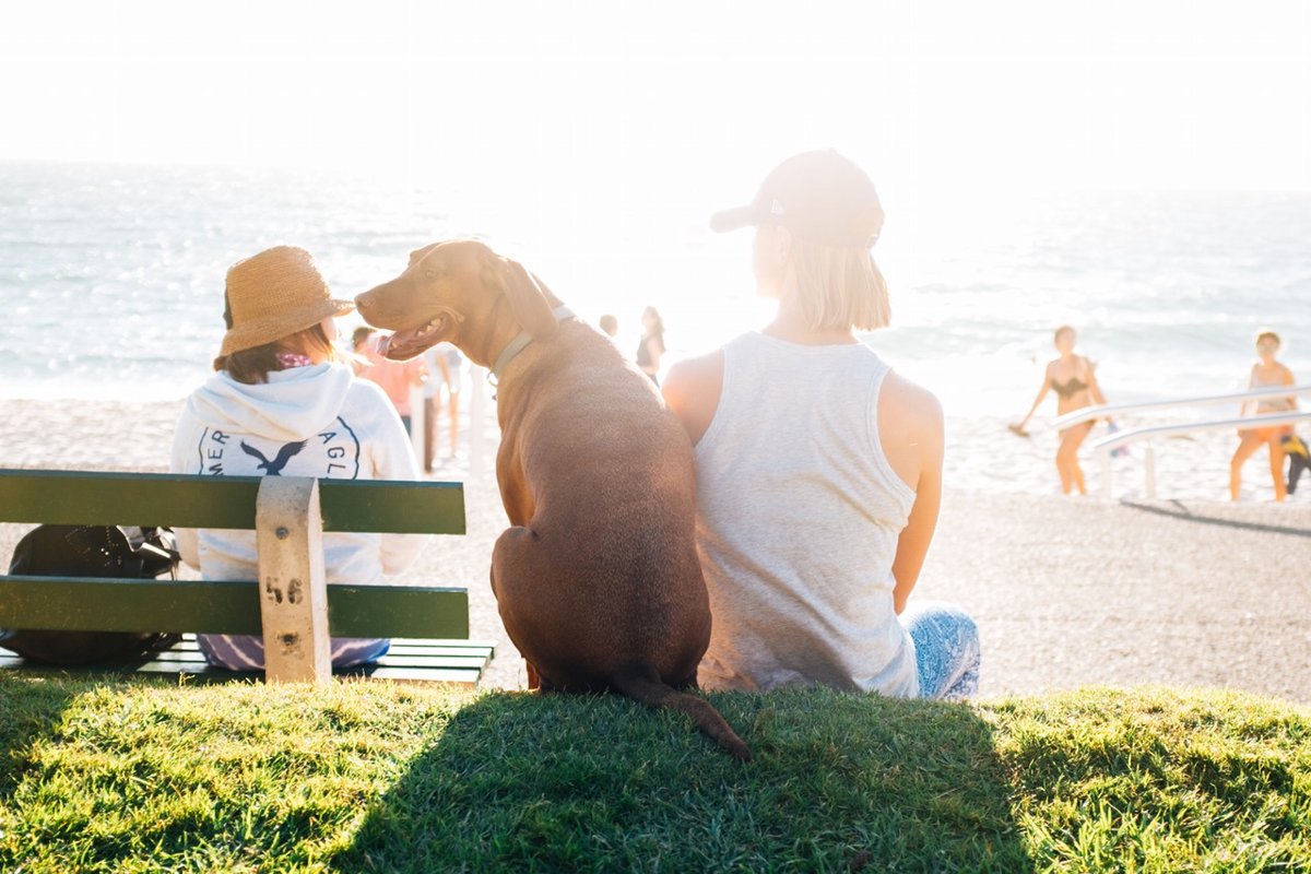 犬の散歩で飼い主もダイエット！効果を期待できる方法5つ