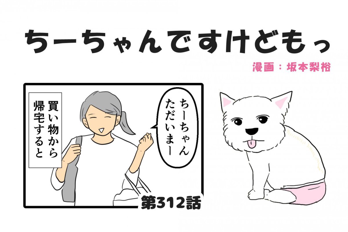 ちーちゃんですけどもっ【第312話】「飼い主の悩みどころ」