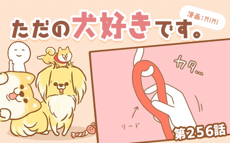 ただの犬好きです。【第256話】「色々あるのね」