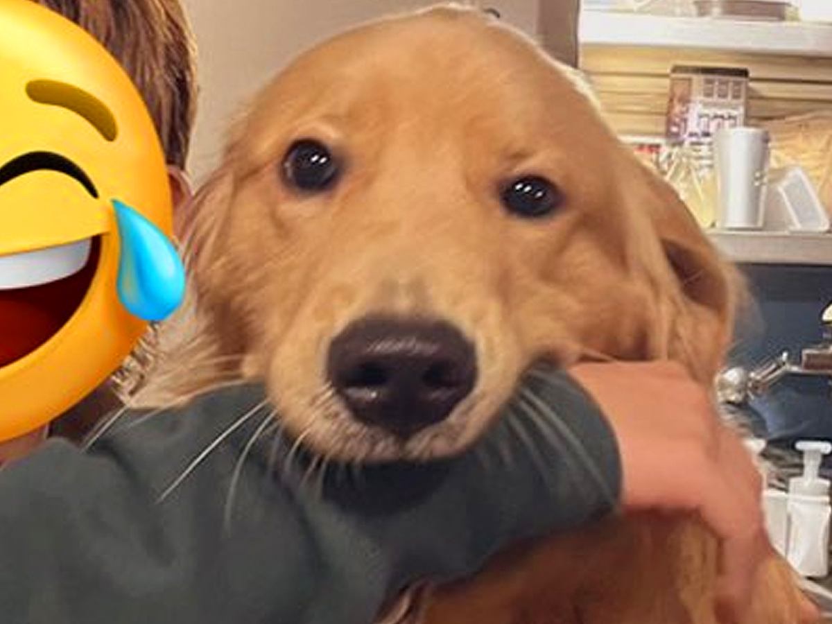 お母さんが大型犬とツーショットを撮影→なぜか口の中に…小さなころから変わらない光景が150万表示「腕がｗ」「銀魂かな？」と爆笑の声
