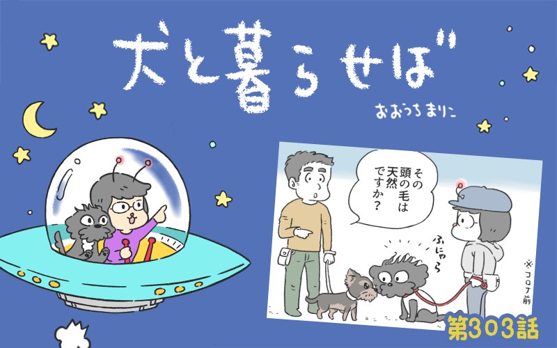 犬と暮らせば【第303話】「パーマネント」