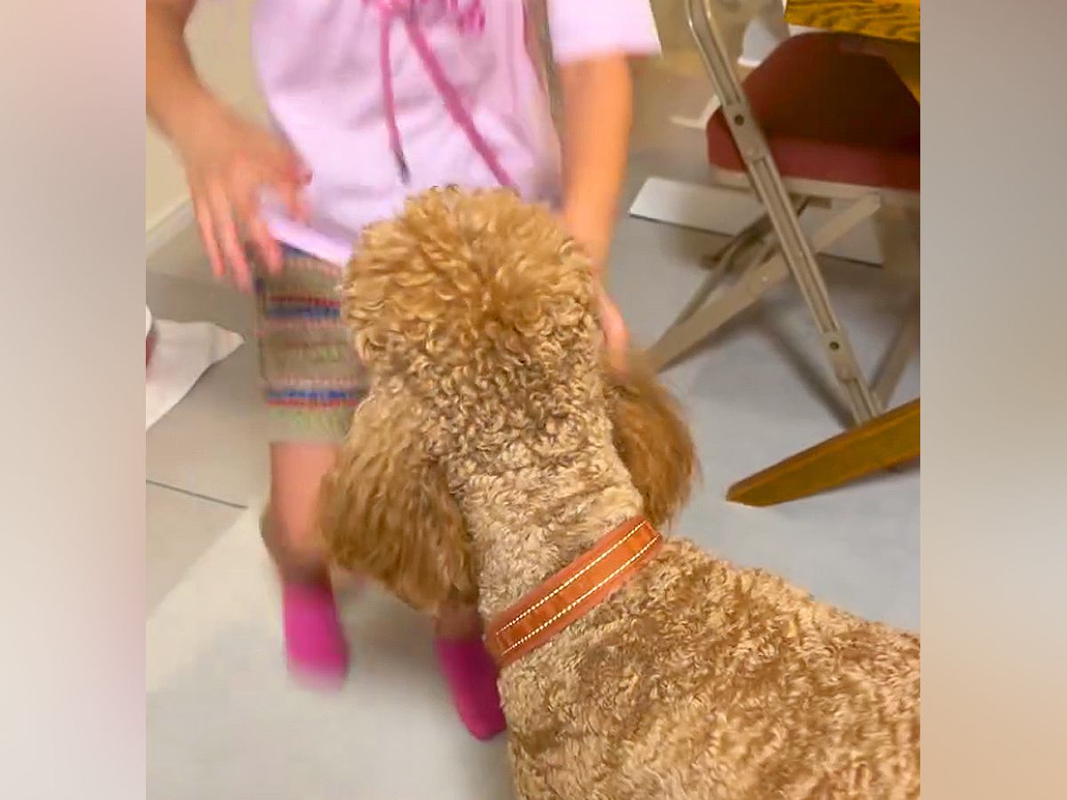 ママと子供がいなくて『ご飯ものどを通らないほど寂しがった大型犬』→帰宅した瞬間に…泣けるほど愛おしい『おかえりなさい』に６万再生の反響