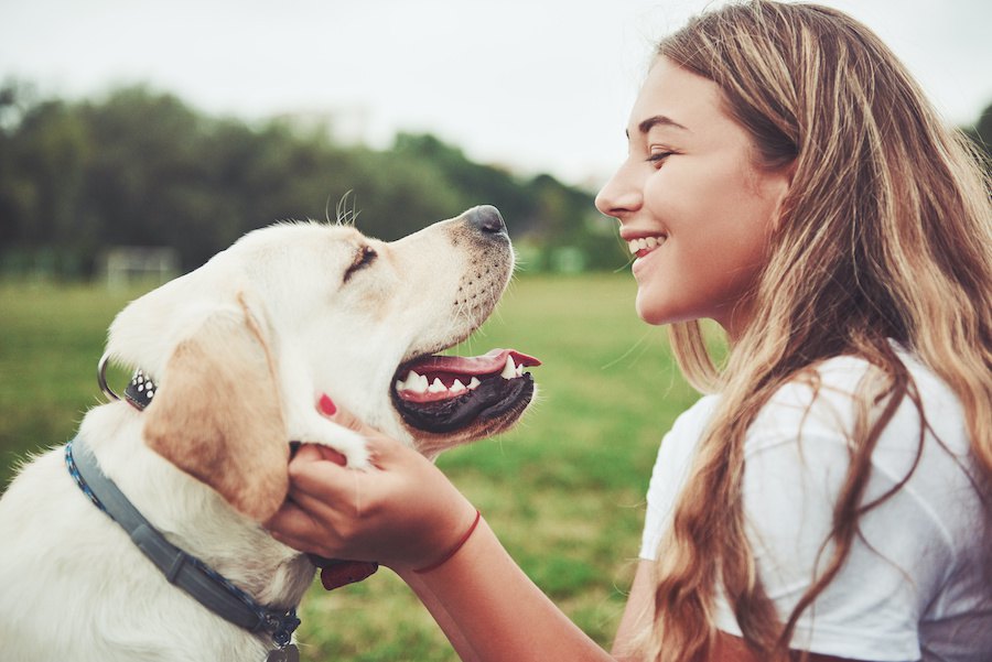 愛犬が本当に幸せかどうか確かめる３つの方法