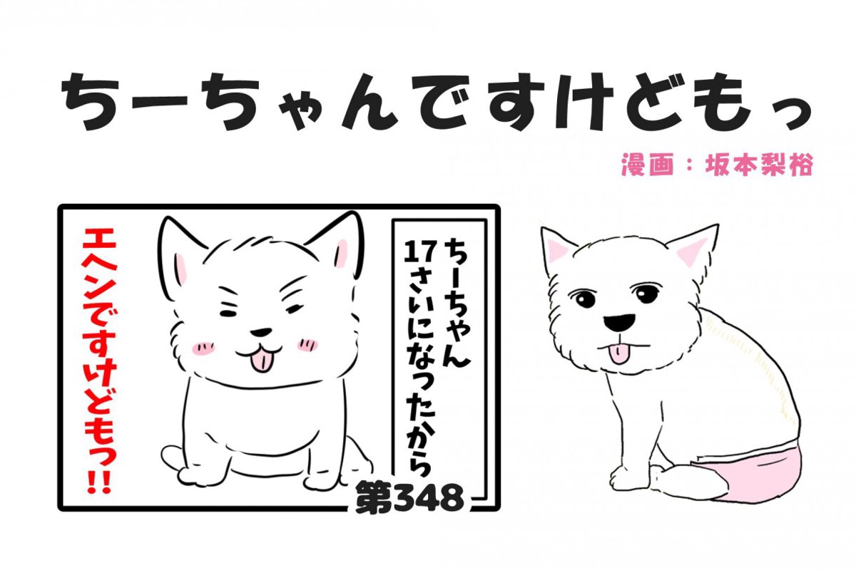 ちーちゃんですけどもっ【第348話】「ちーちゃんのおばあちゃん」