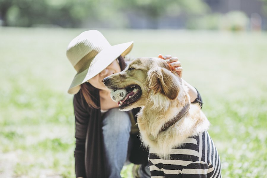 犬がずっと一緒にいたいと感じる飼い主の特徴５つ