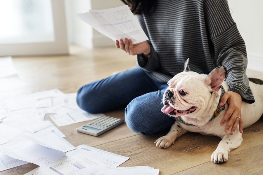 犬の一年間の費用はどのくらい？平均料金から必要な消耗品まで