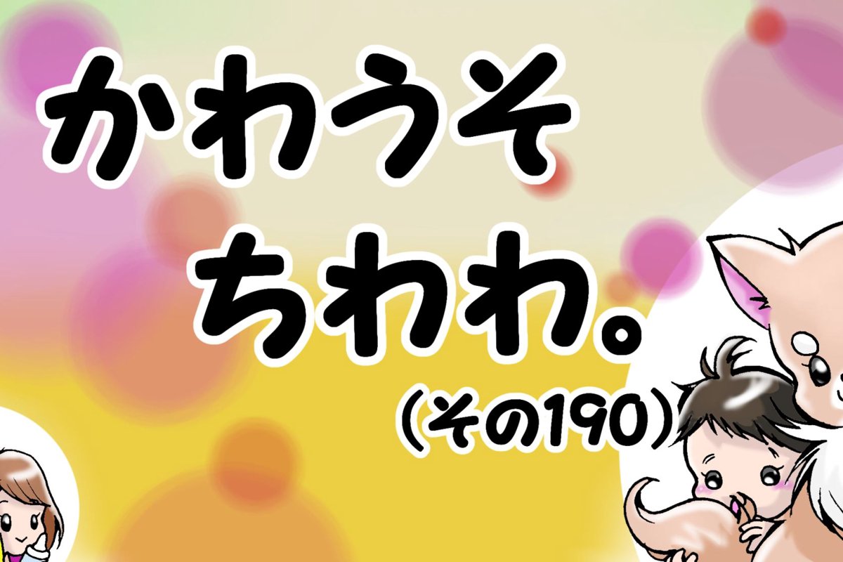 かわうそちわわ。【その190】「褒め言葉だと思ってます」