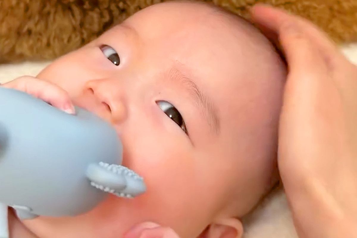 赤ちゃんに『かわいいなあ』と声をかけた結果→後ろで見ていた犬が『嫉妬』して…わかりやす過ぎる『ヤキモチの光景』に反響「可愛くていじらしい」