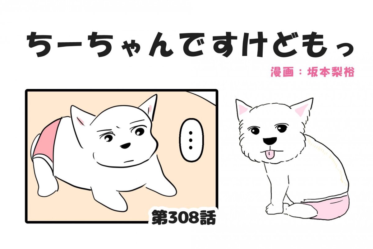  ちーちゃんですけどもっ【第308話】「嬉しいけども」