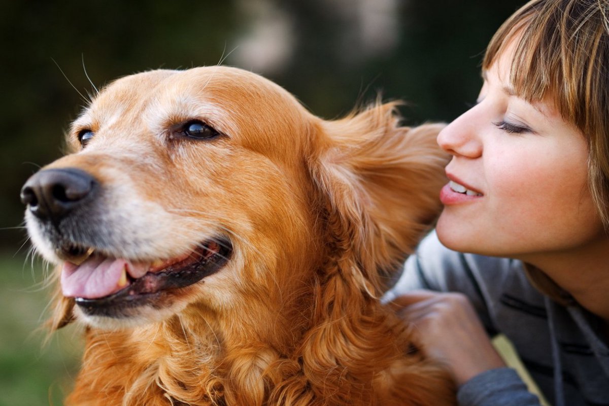 犬を幸せにすることができる『飼い主の言葉』5選　愛犬の自己肯定感をあげるワードとは？