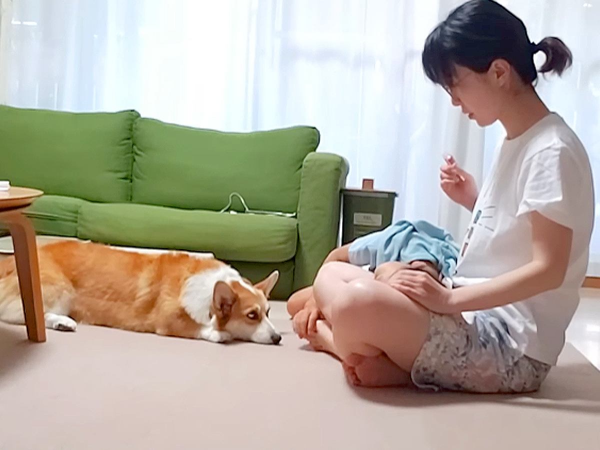 『耳掃除好きな犬』が見せた驚きの行動…まさかの"順番待ち"する姿が114万再生「自分を犬と思ってない」「うちのは嫌がりますｗ」