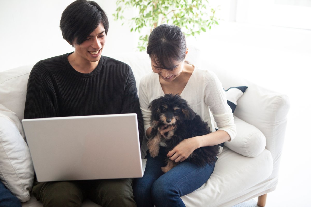 犬が『膝の上に乗ってくる』心理4選　可愛いけれど放っておいて大丈夫？注意すべき状況まで