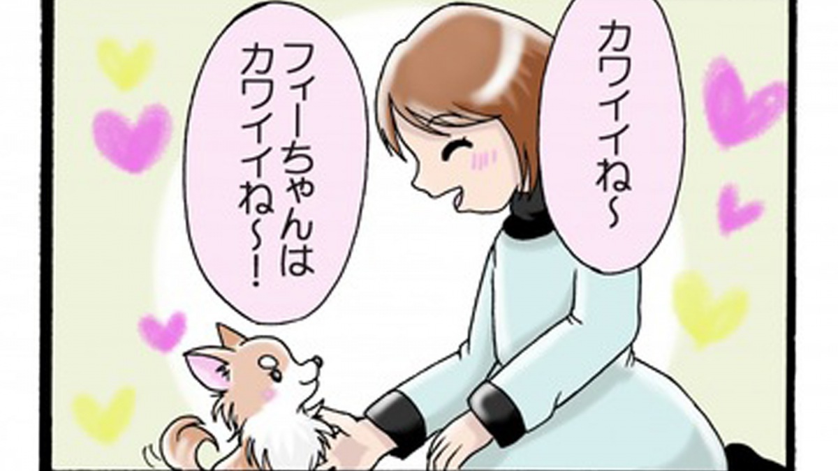 かわうそちわわ。（76） カワイイは正義