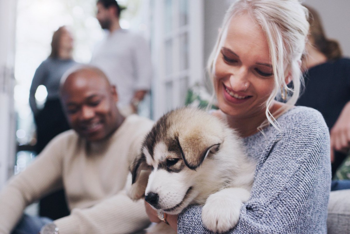 犬の飼い主適正チェック5項目！あなたはすべてに当てはまりますか？