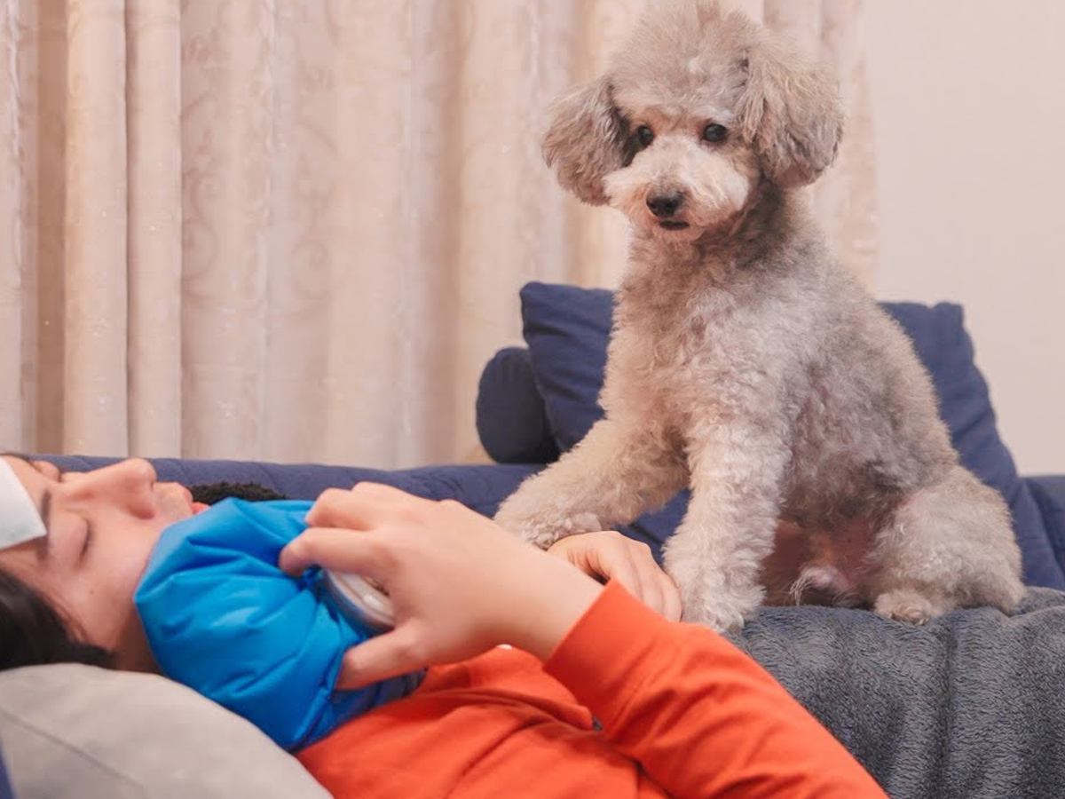 高熱で倒れてしまったら、家にいた犬が…まさかの『必死に看病してくれる光景』が12万再生「本当に心配してて尊い」「優しいワンちゃん」と称賛