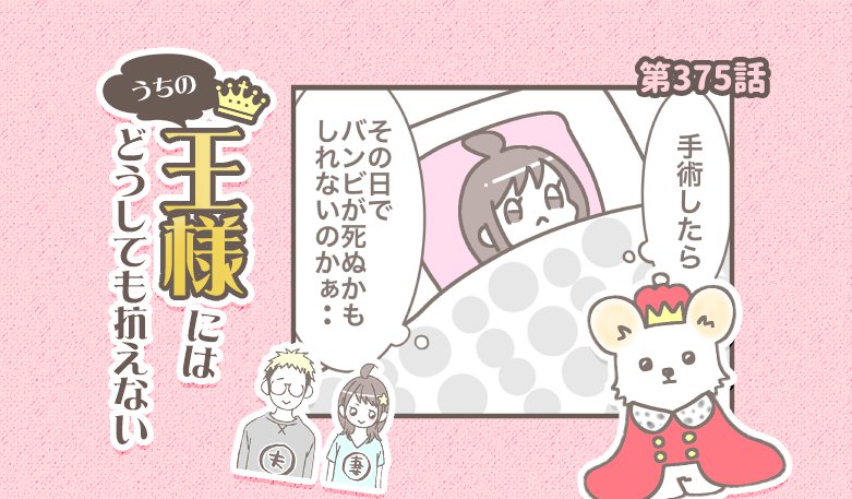 うちの王様にはどうしても抗えない【第375話】「バンビ闘病記⑦」