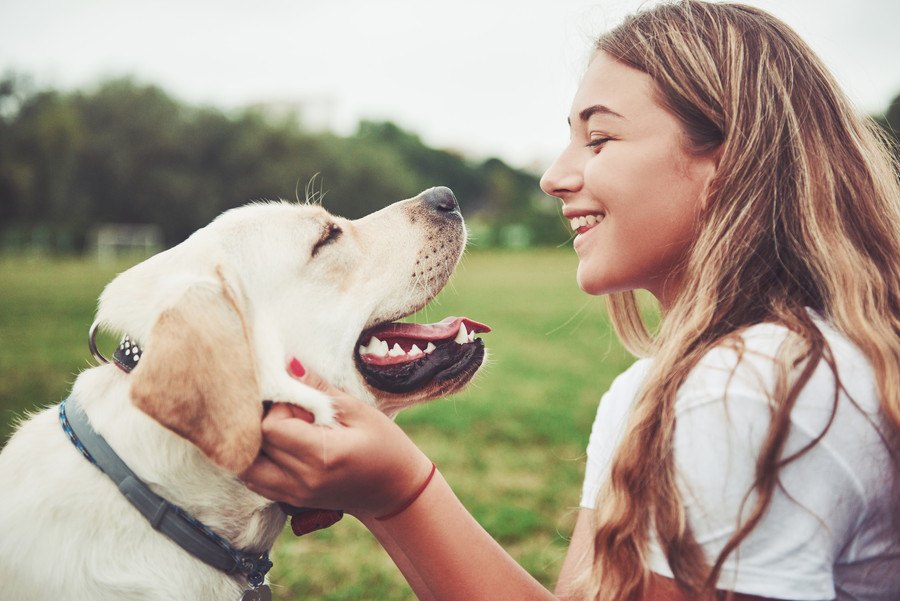 犬に好かれる人の5つの特徴！なつかれる人の共通点とは