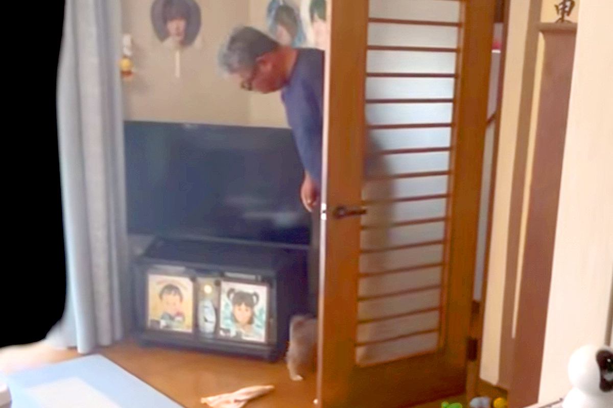 父が単身赴任中、内緒で『子犬を飼った』結果→ドアを開けた瞬間…初対面で見せた『最高すぎる反応』が389万再生「いい顔すぎ」「パパ可愛い」