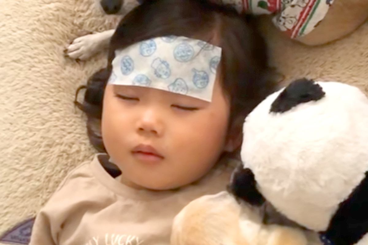 3歳の女の子が『熱で寝込んでしまった』結果→犬たちが心配をして…あまりにも『尊すぎる光景』が65万再生「自然と涙が…」「なんて羨ましい」