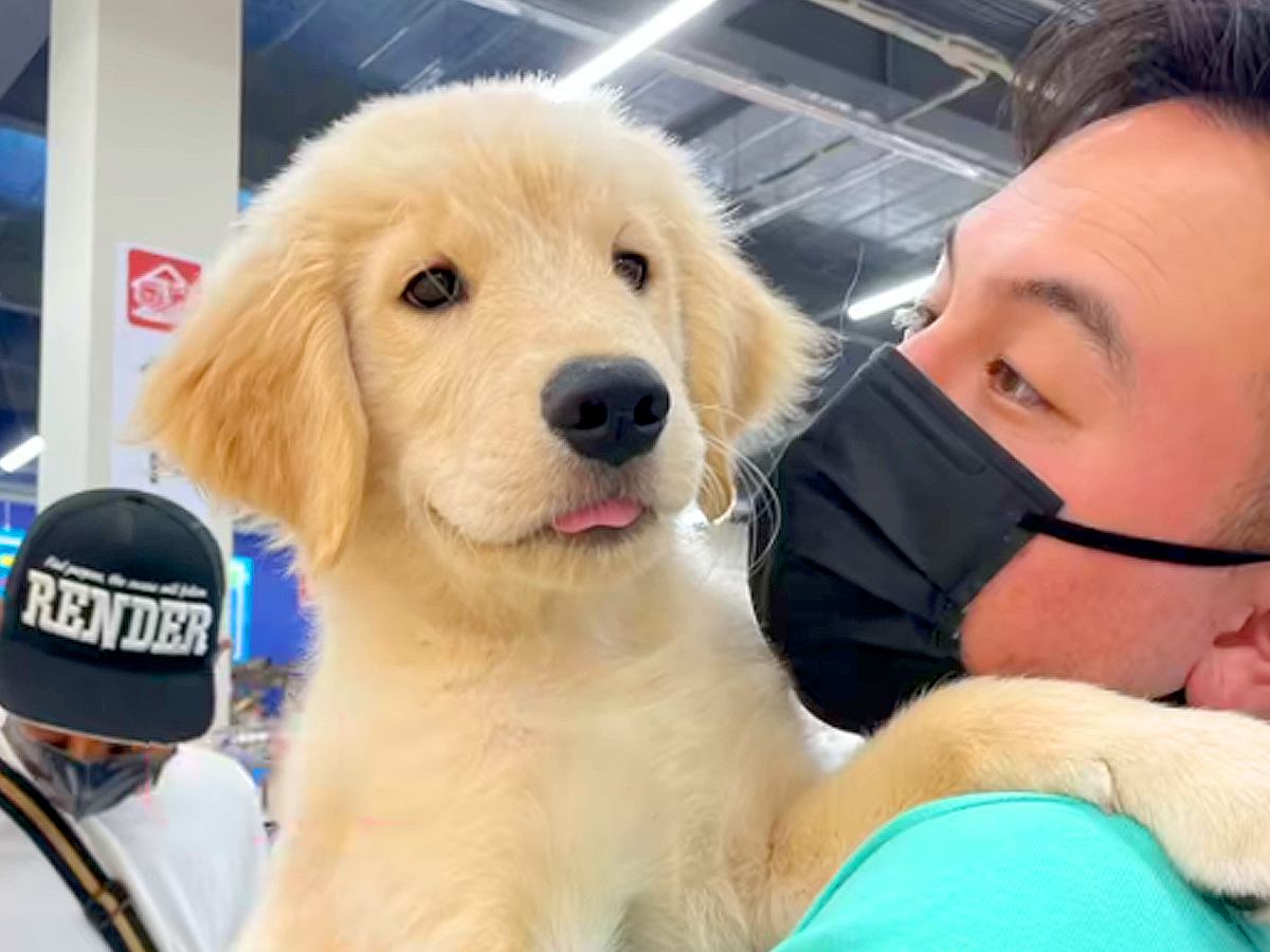 『赤ちゃんのときが一番』と言われた大型犬の赤ちゃんを飼ったら…あまりにも尊い『おとなに成長した光景』が28万再生「最高」「ずっと可愛い」