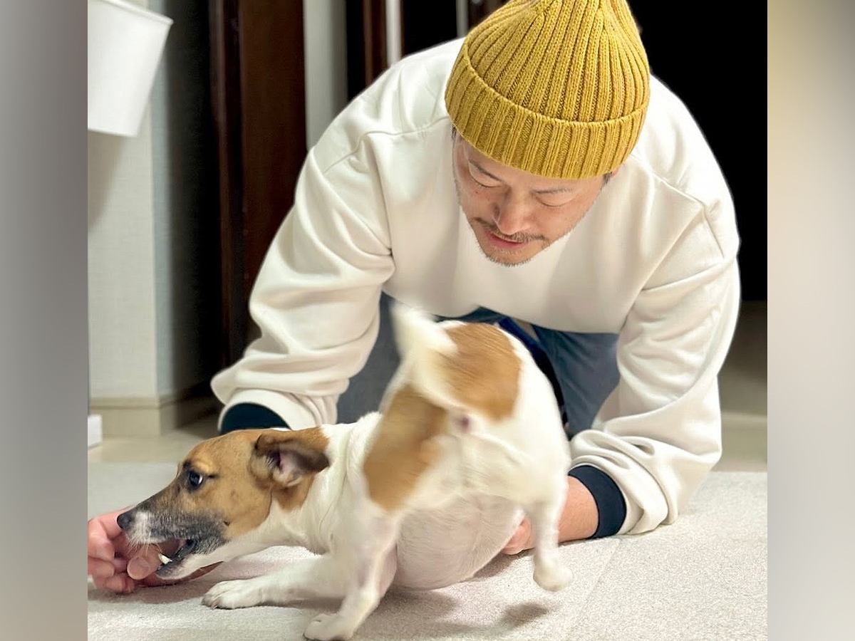 出張から帰ってきたパパ→犬が『大興奮しすぎた』結果…想定外すぎる『まさかの結末』が11万再生「嬉しかったんだね」「我慢できなかったｗ」