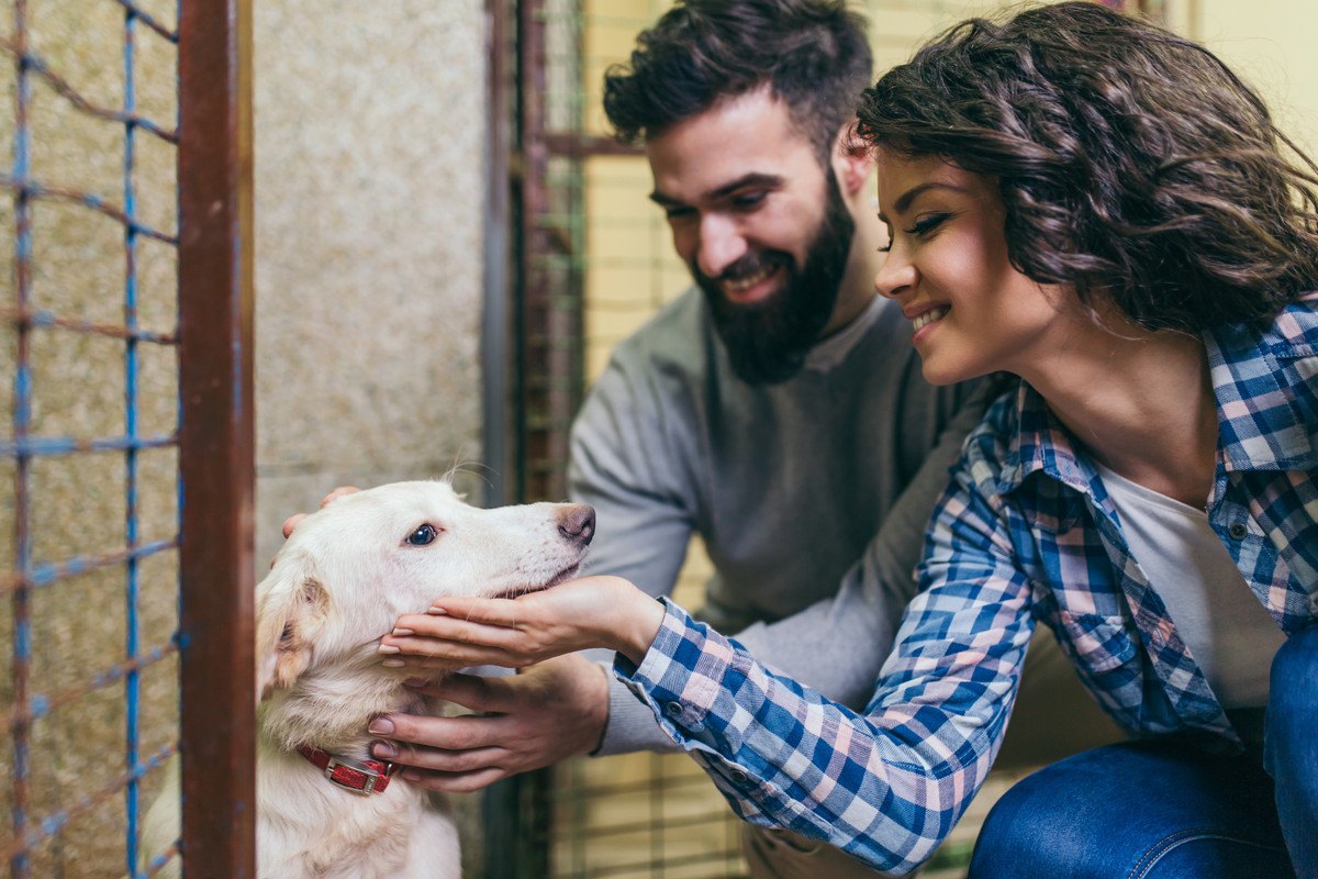 保護犬を迎える時に必ず意識すべき『4つのこと』 名前は過去のものを使うべきなの？