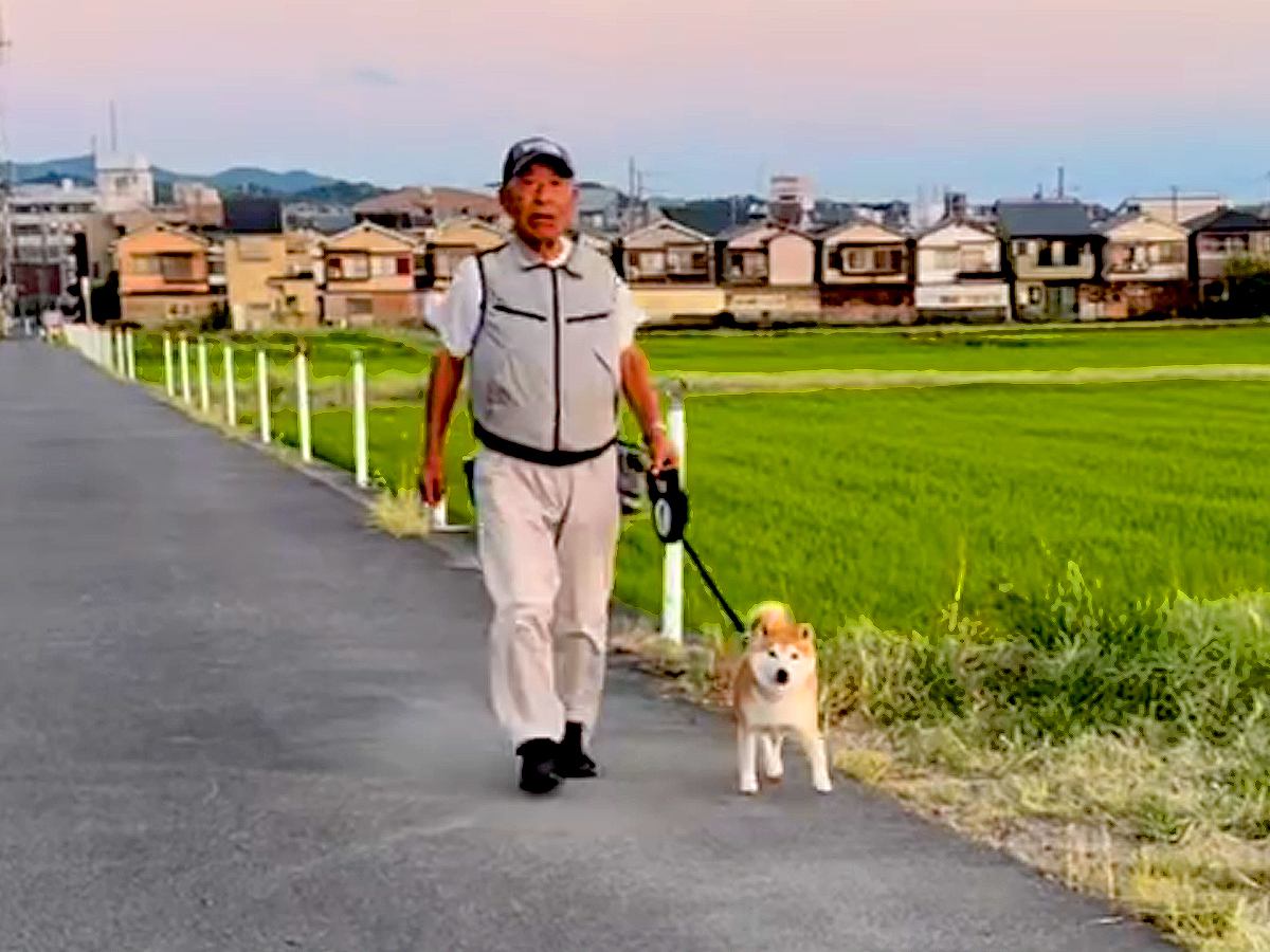 『思ってたのと違う…』犬の散歩中に他人のフリをしたら…ドッキリの検証結果が衝撃的すぎると1000万再生「天然すぎて草」「お腹痛いｗ」