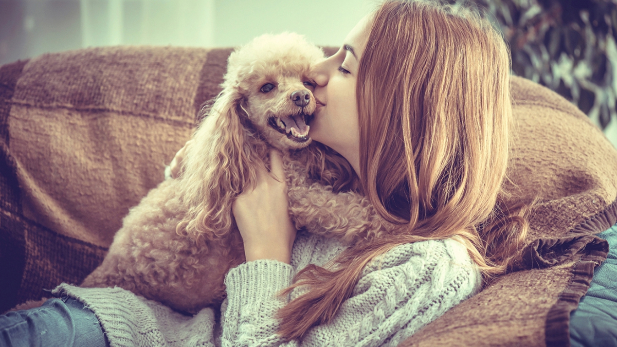 【遊び・散歩・しつけ】犬により幸せを感じてもらえるアドバイス