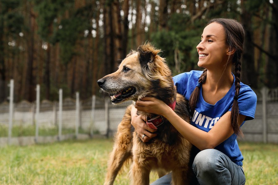 ググるたびにシェルターの保護犬にフードが寄付されるブラウザアプリ