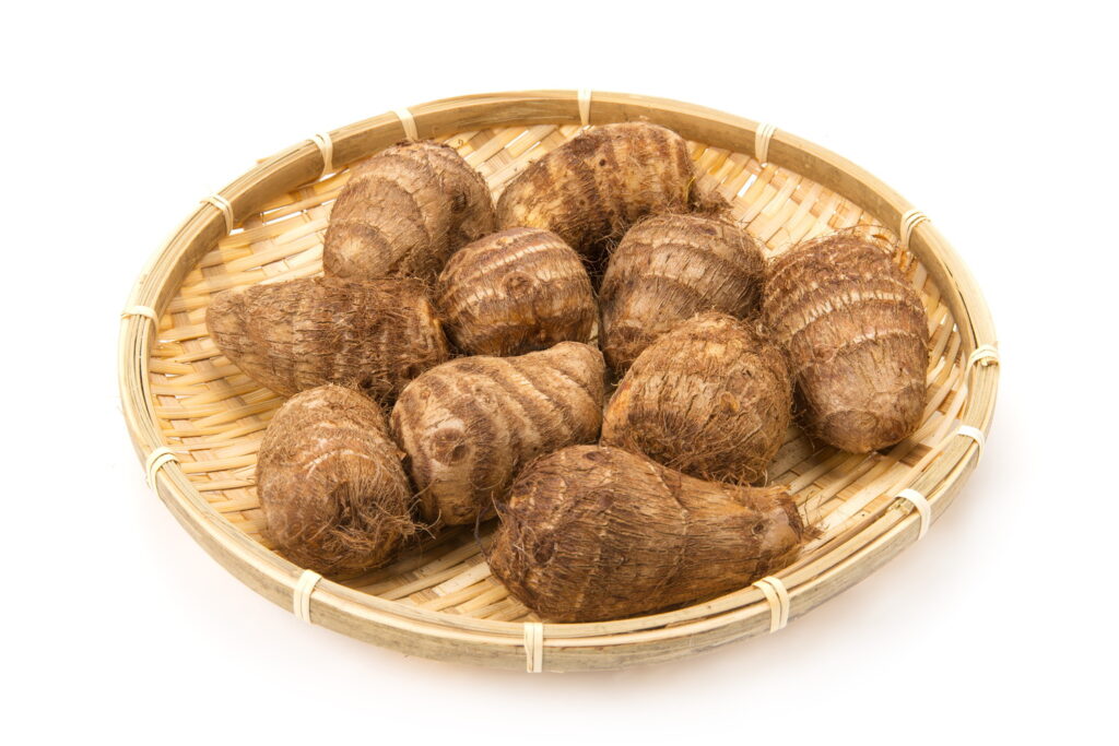 【獣医師監修】犬は里芋を食べても大丈夫？適量と注意点、生がNGな理由と安全な与え方