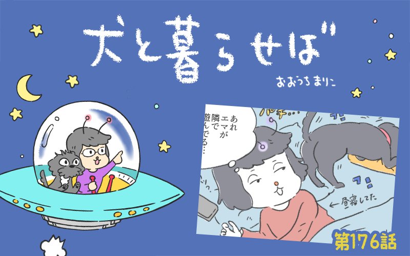 犬と暮らせば【第176話】「ながら②」