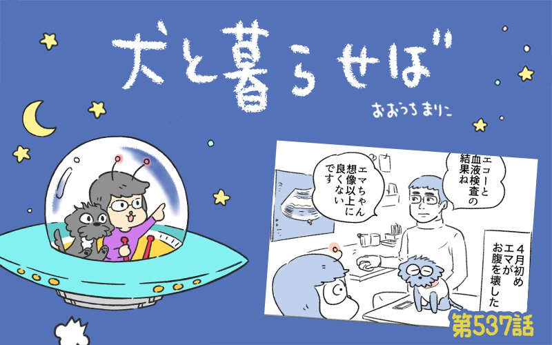 犬と暮らせば【第537話】「予期せぬサクラ」