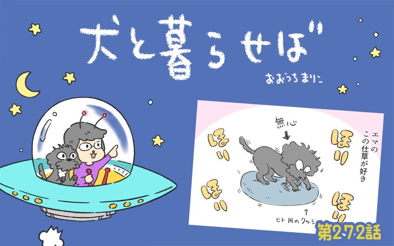 犬と暮らせば【第272話】「ほります、ほります」