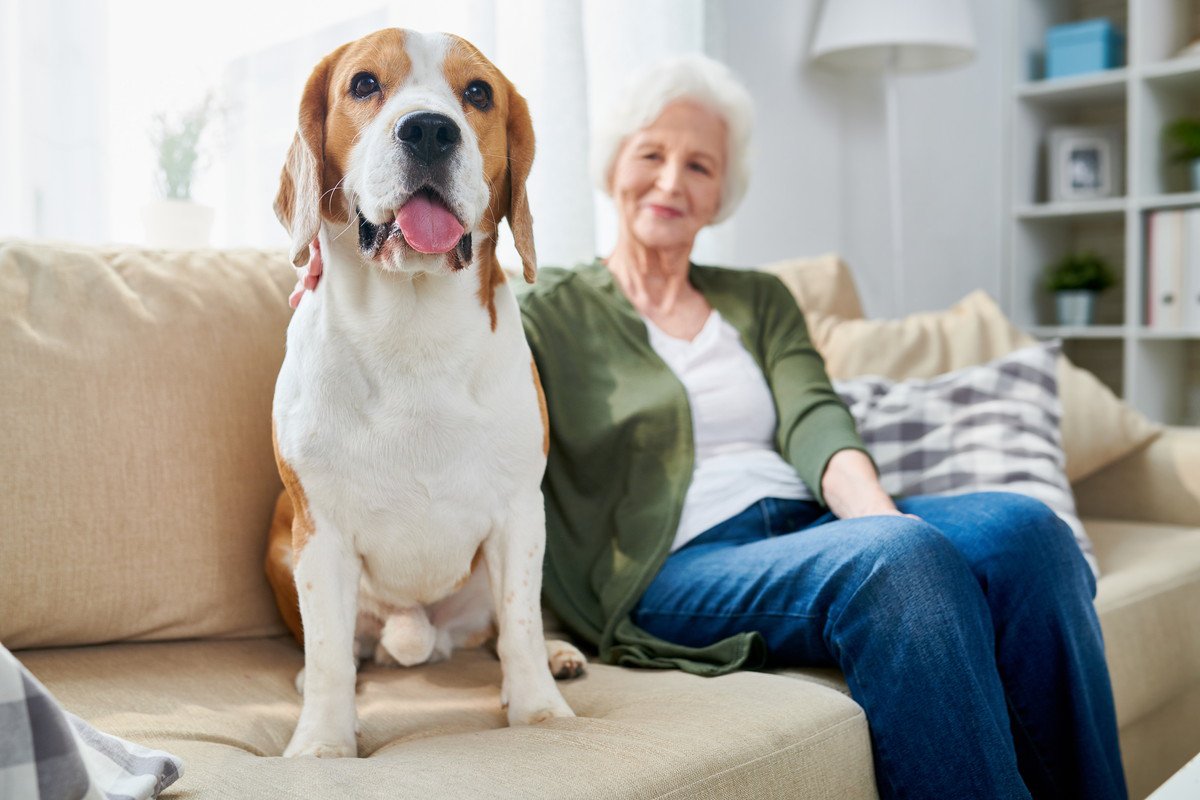 犬の『シニア期』何歳から？愛犬が老犬になったときに飼い主がすべき配慮まで