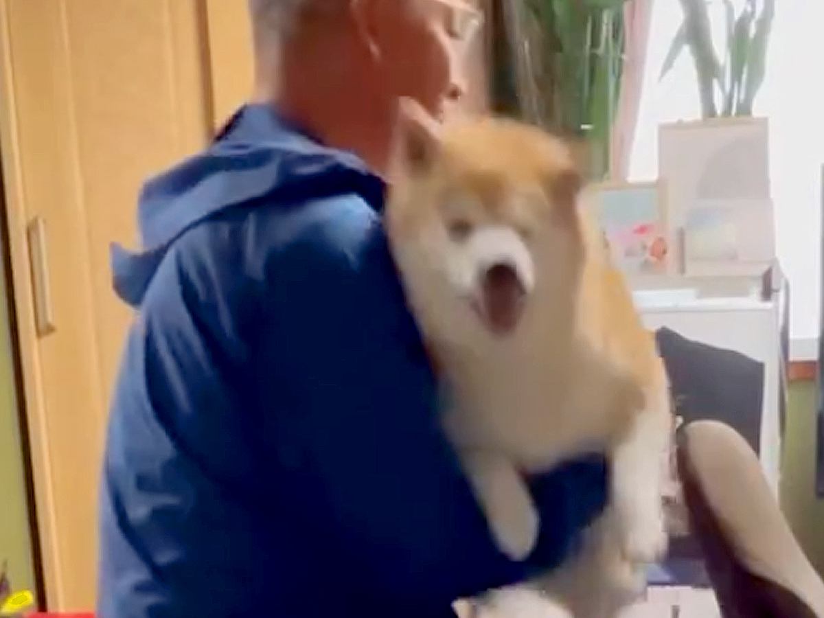 なぜか抱っこを嫌がる犬→強制的に抱っこしてみたら…今までが嘘のような『まさかの態度豹変』が85万再生「どういうことｗ」「ツンデレで草」