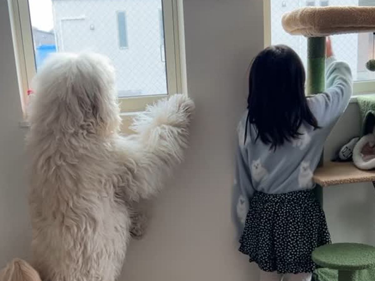 学校から帰るとすぐに遊びに行く男の子→お見送りをする女の子と大型犬が…あまりにも尊い『後ろ姿』が2万再生「背丈同じ」「素敵な関係」