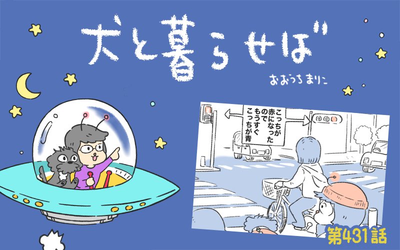 犬と暮らせば【第431話】「気まずい信号待ち」