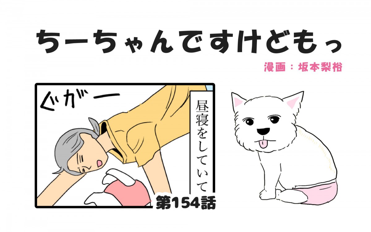 ちーちゃんですけどもっ【第154話】「多分飼い主はみんなそう」