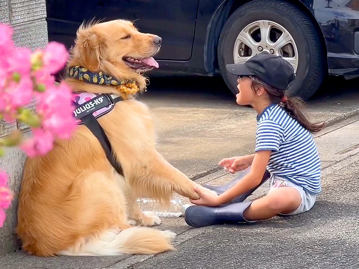 男の子と大型犬をこっそり撮影した結果…まるで『心が通じ合ってる』ような光景が尊すぎると12万再生「ホントに友達みたい」「素敵な関係」