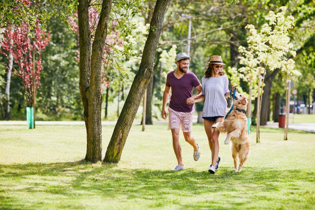 『寿命が短い犬種』2選！共通する特徴や飼う時に注意するポイントを解説