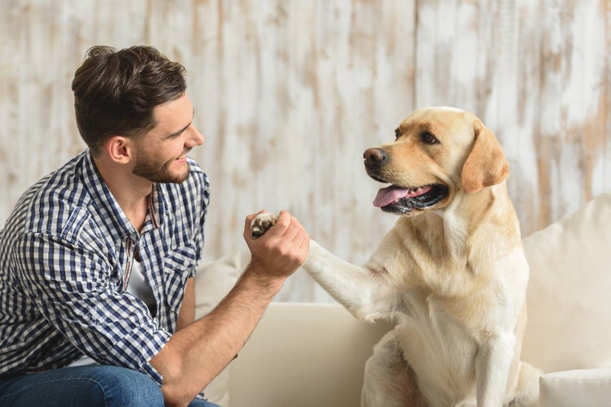 『忠実な犬』の特徴４選　飼い主への忠誠心が強い犬の共通点や良い関係性を築く方法とは