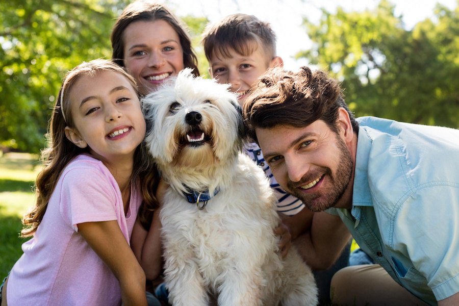 あなたは当てはまる？アメリカで実施された犬バカ度アンケート