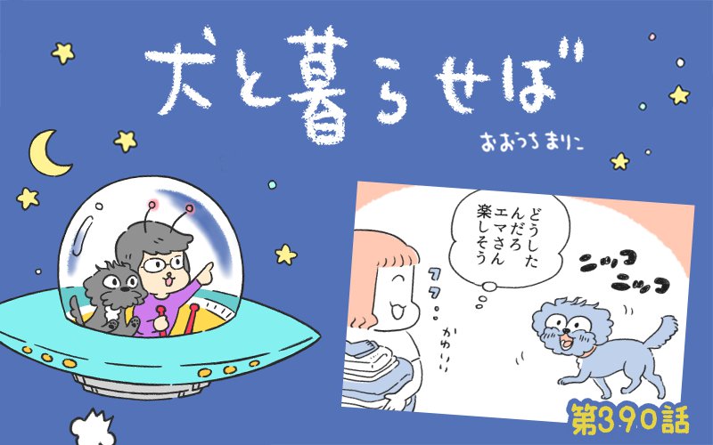 犬と暮らせば【第390話】「バレたくないけど教えたい」