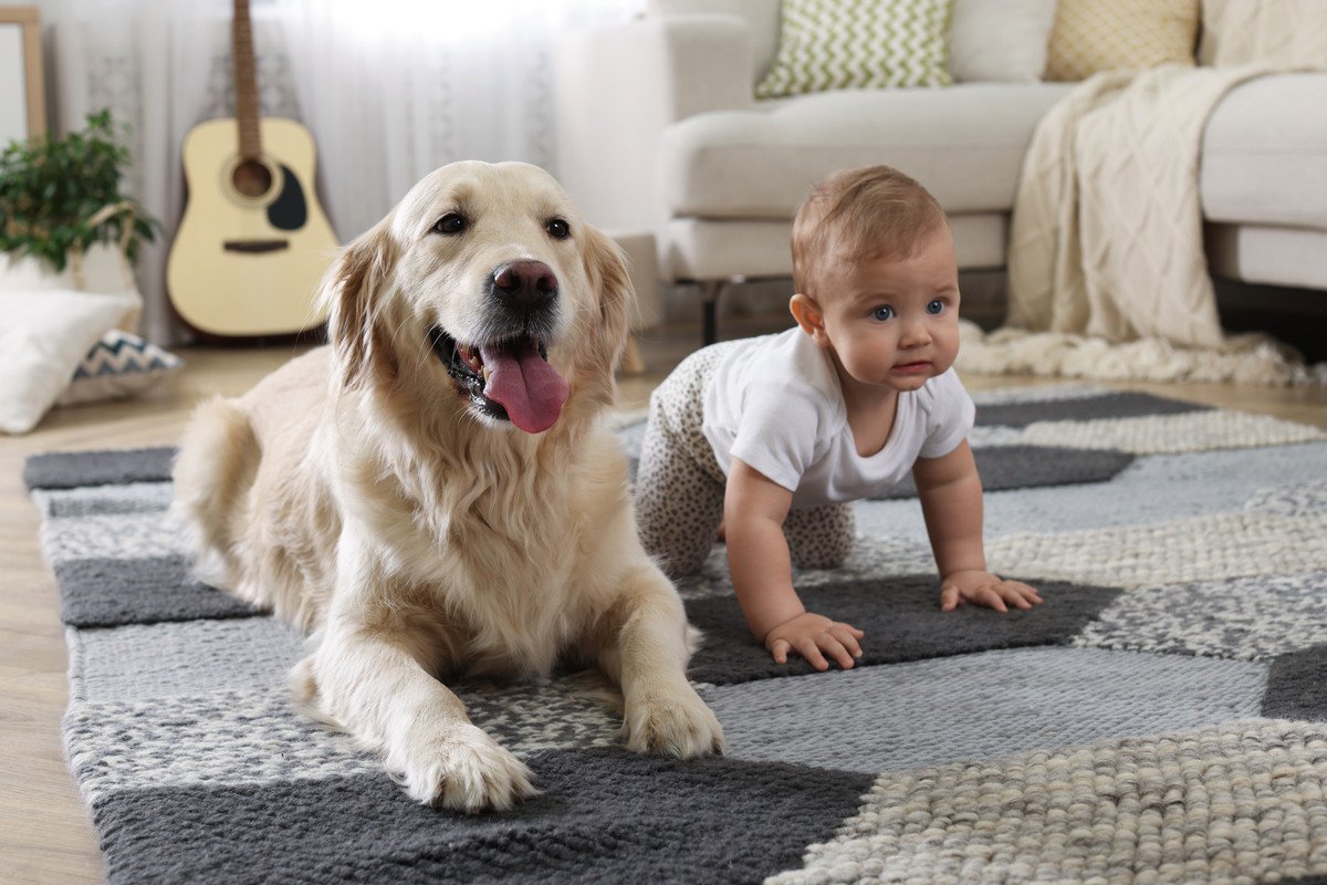 人の真似？犬が『ほふく前進』をする5つの理由