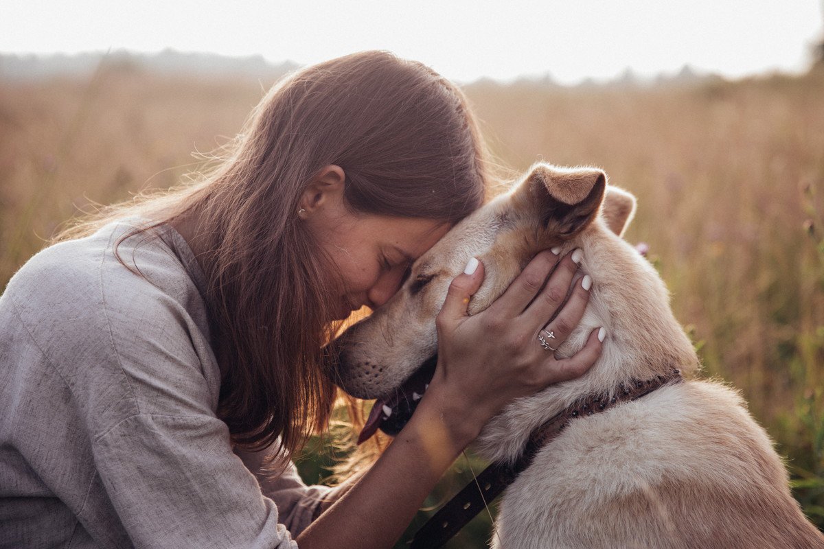 犬にとって飼い主は『恋人』？どういう存在なの？