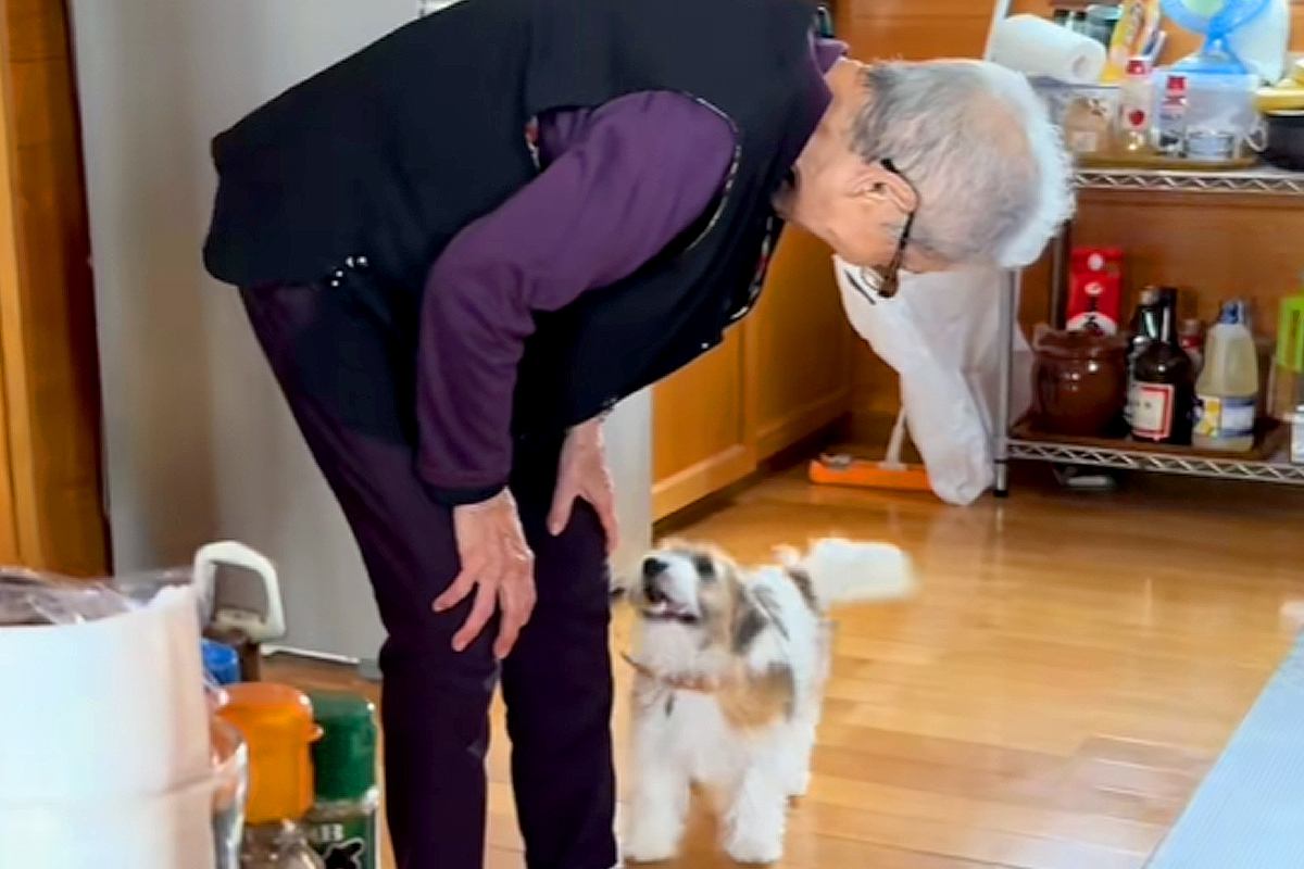 『96歳のおばあちゃんと子犬』が初めて出会った結果→まるで本当の孫のような『ふたりのやり取り』に反響「可愛すぎて泣けた」「嬉しそう」