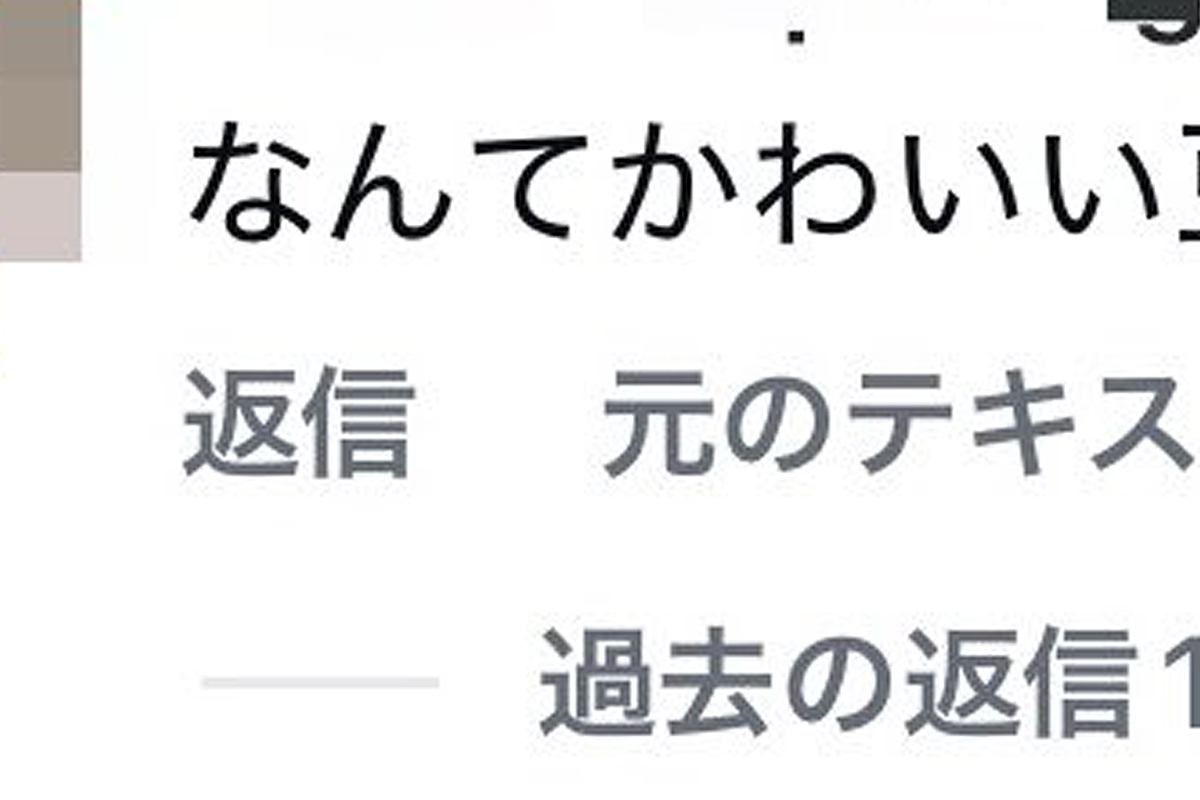 SNSに犬の写真を投稿→外国人からコメントがあり、翻訳したら…まさかの表現と『納得の光景』に絶賛「なんて可愛い豆」「わからんでもないｗ」