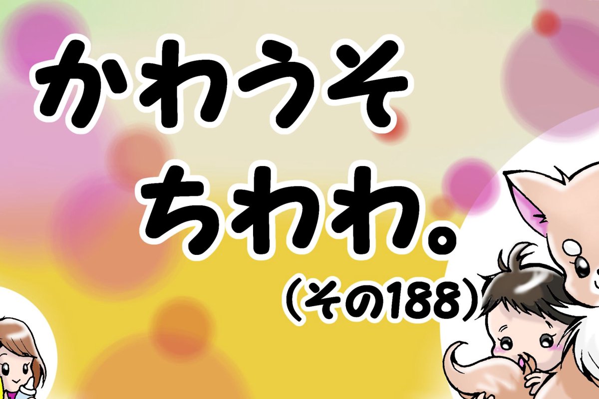 かわうそちわわ。【その188】「いちごはえっちゃんの大好物」